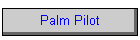 Palm Pilot